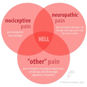 pain types, nociceptive pain, neuropathic pain, neurological dysfunction, hell